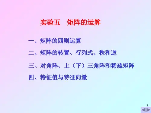 05实验五 矩阵的运算