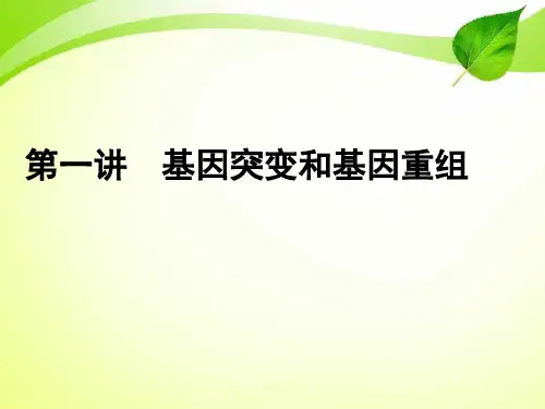 高三一轮复习：生物的变异、育种与进化 第1讲 基因突变和基因重组