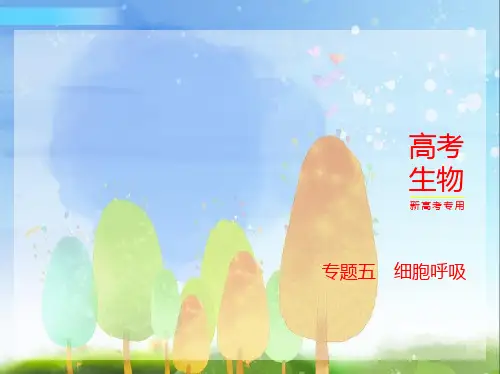2024年新高考版生物1_5-专题五 细胞呼吸
