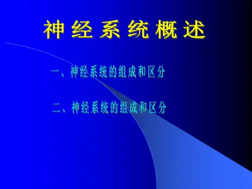 神经系统概述 1_附件