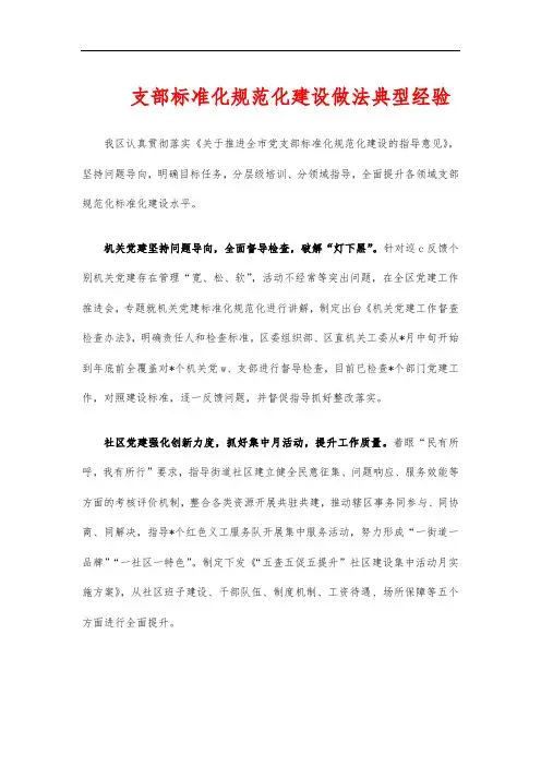 支部标准化规范化建设做法典型经验