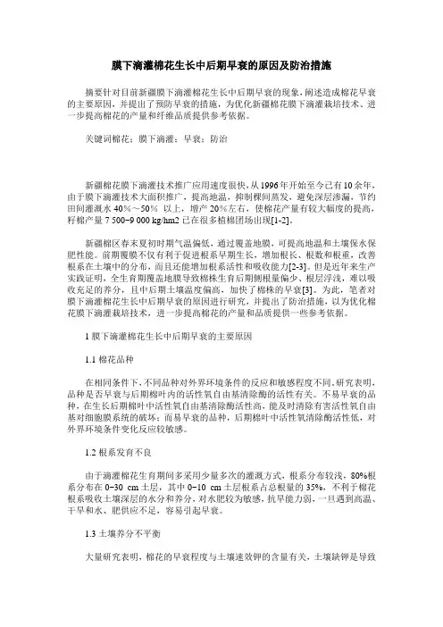 膜下滴灌棉花生长中后期早衰的原因及防治措施