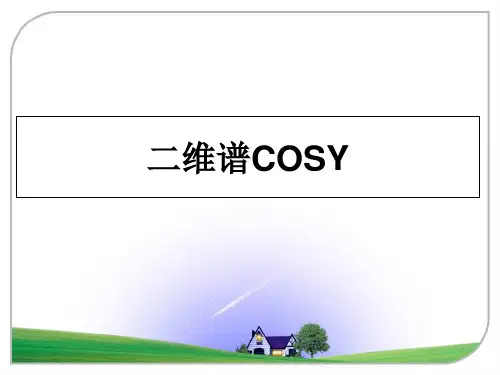 二维谱COSY