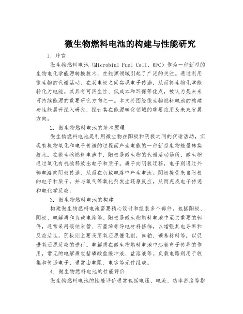微生物燃料电池的构建与性能研究