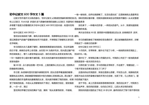初中记叙文600字作文5篇