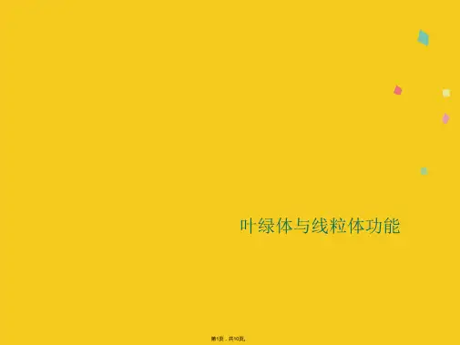 叶绿体与线粒体功能(共10张PPT)