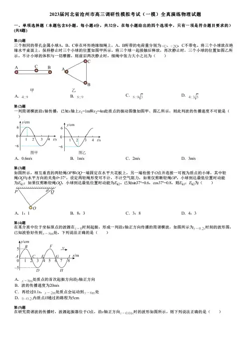 2023届河北省沧州市高三调研性模拟考试(一模)全真演练物理试题