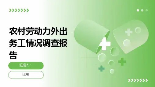 农村劳动力外出务工情况调查报告