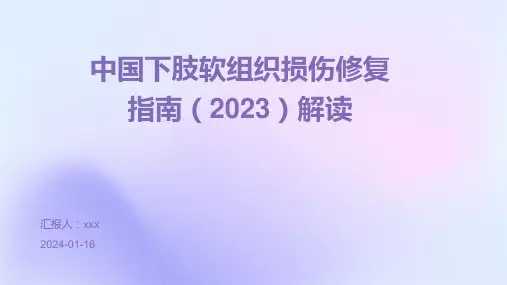 中国下肢软组织损伤修复指南(2023)解读PPT课件