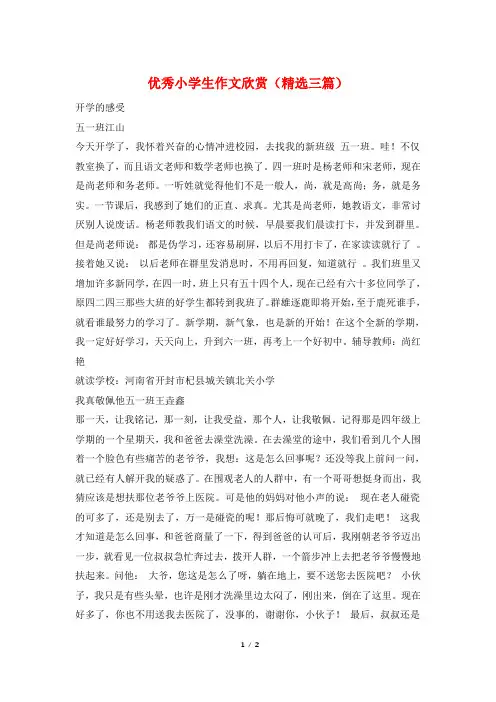 优秀小学生作文欣赏(精选三篇)