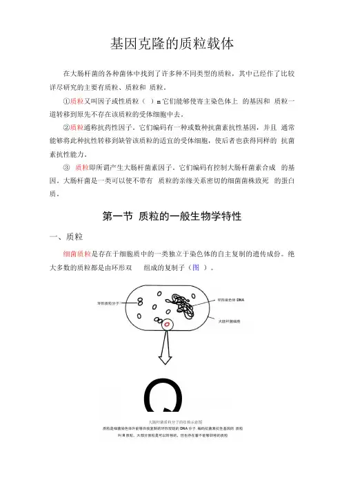 (整理)基因克隆的质粒载体