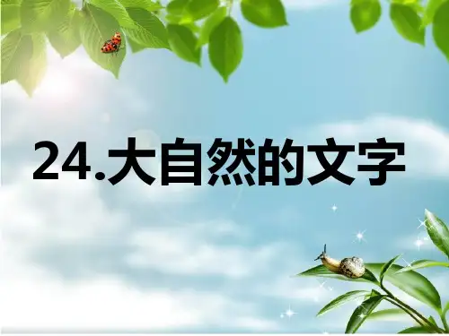 《大自然文字》PPT课件