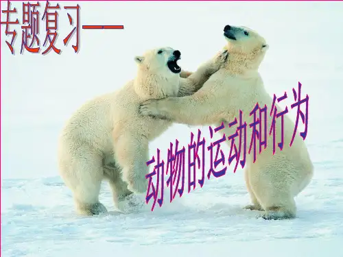 动物的运动和行为复习完整ppt课件