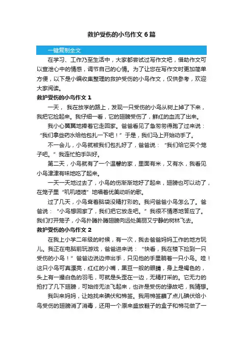 救护受伤的小鸟作文6篇