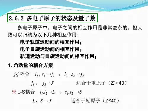 光谱项综合解析