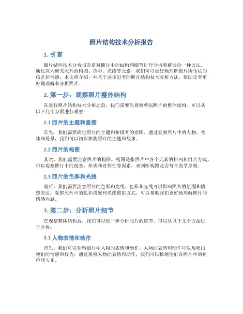 照片结构技术分析报告
