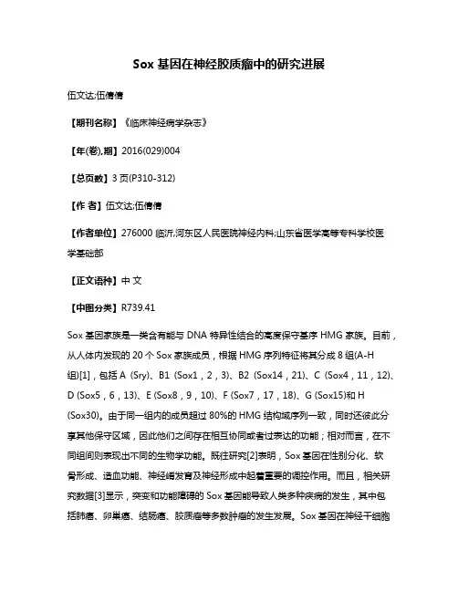 Sox基因在神经胶质瘤中的研究进展