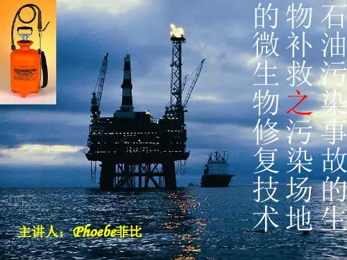石油污染的微生物修复技术ppt精选课件
