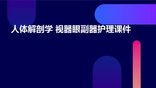 人体解剖学 视器眼副器护理课件