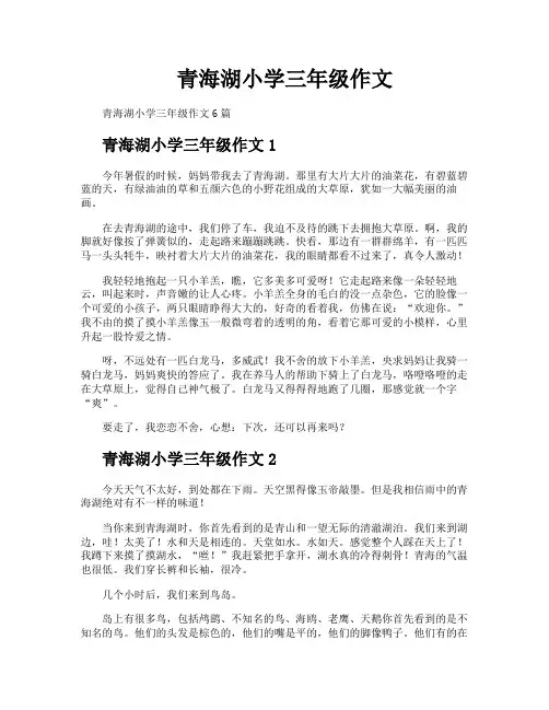 青海湖小学三年级作文