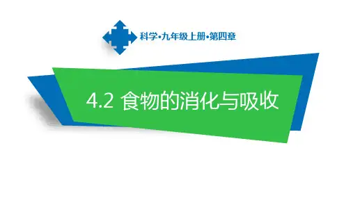 浙教版科学九年级上册4.2食物的消化与吸收教学课件共16张PPT