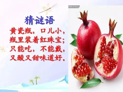 苏教版三年级上册语文《石榴》课件ppt