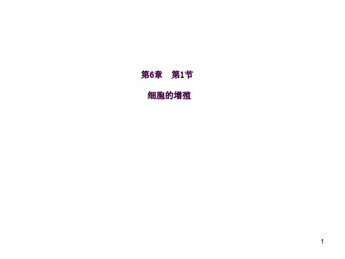 细胞的增殖(有动画)ppt课件