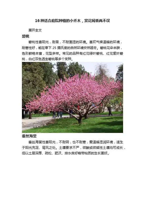 16种适合庭院种植的小乔木，赏花闻香两不误