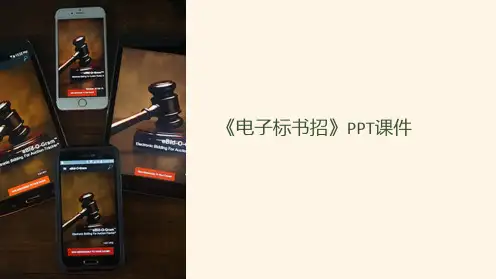 《电子标书招》课件