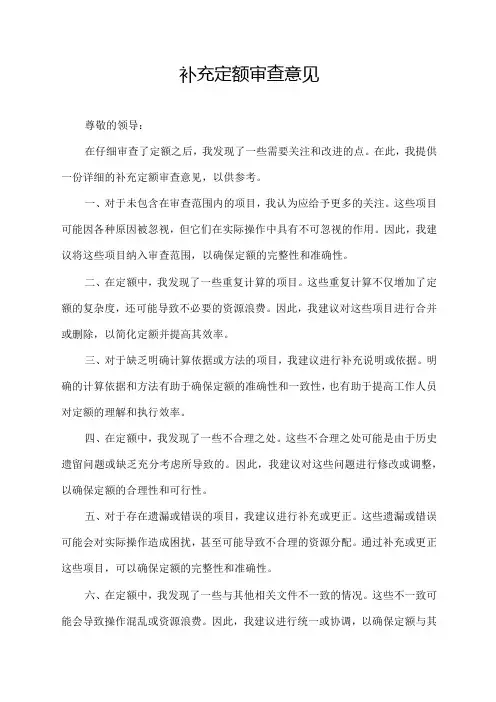 补充定额审查意见