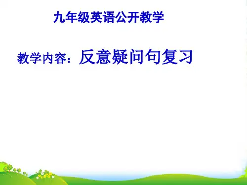人教版英语九全 Unit 8 Section A(反义疑问句)复习课件(30张)
