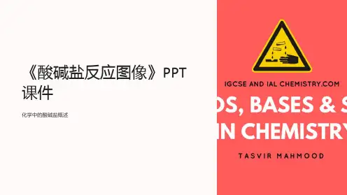 《酸碱盐反应图像》课件