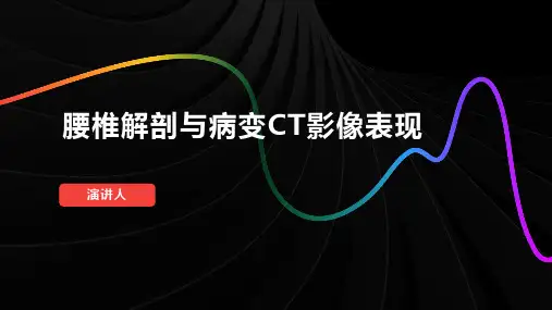 腰椎解剖与病变CT影像表现