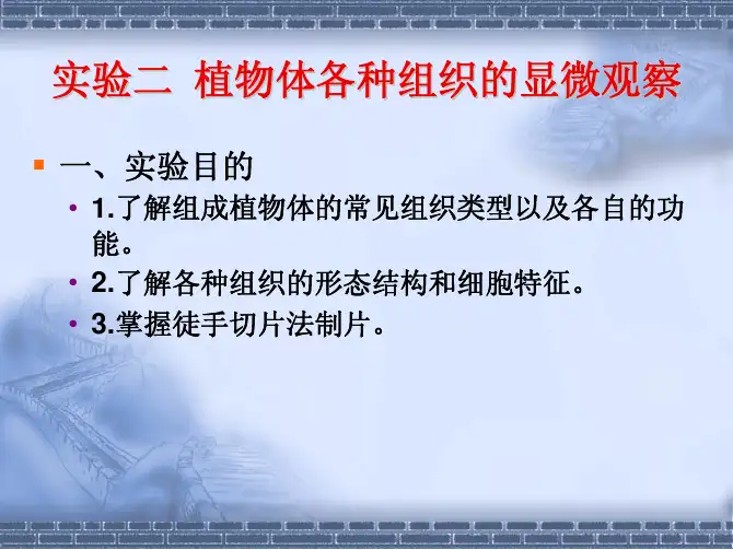 植物生物学：实验2(植物的组织)