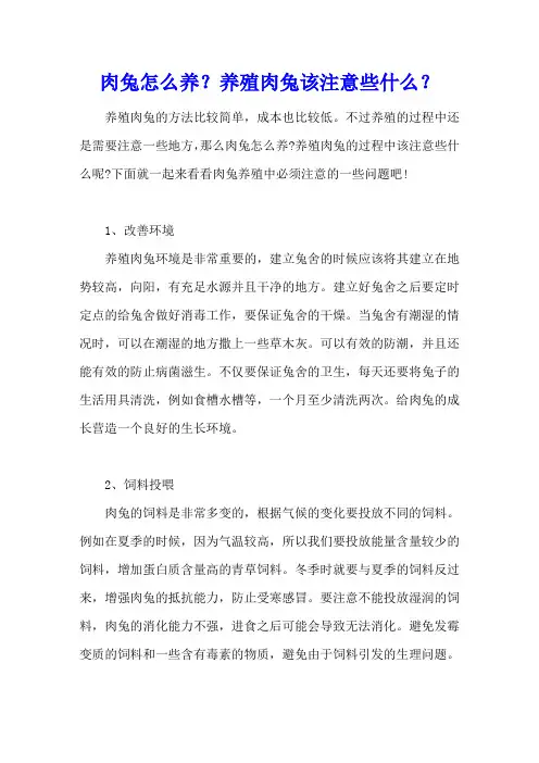 肉兔怎么养？养殖肉兔该注意些什么？
