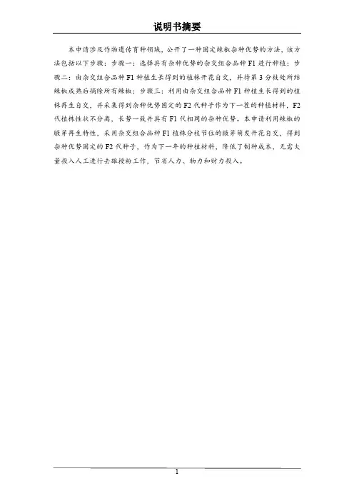 一种固定辣椒杂种优势的方法-辣椒杂交种子的留种方法