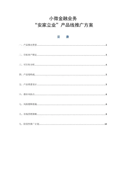 小额贷款产品线推广方案