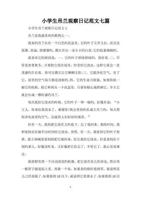 小学生吊兰观察日记范文七篇(精编版)