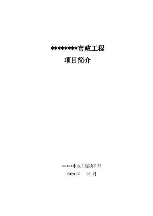 项目简介新范本