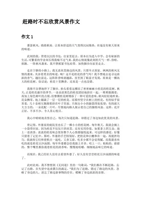 赶路时不忘欣赏风景作文