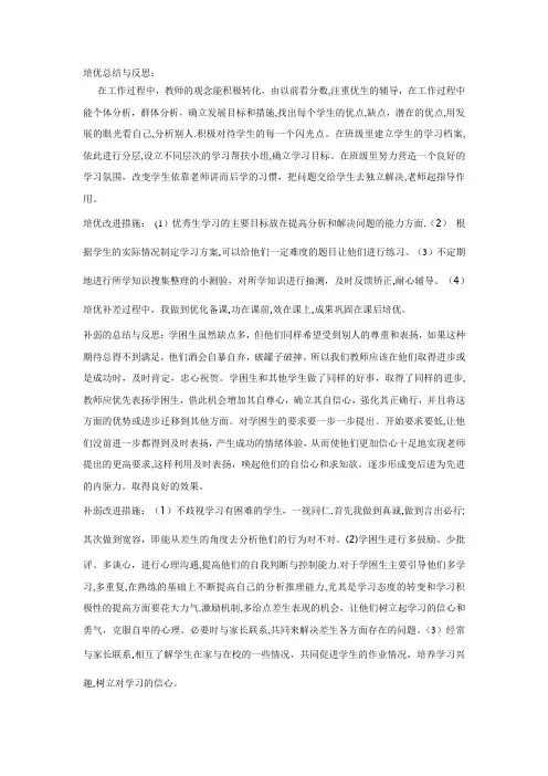 培优总结与反思