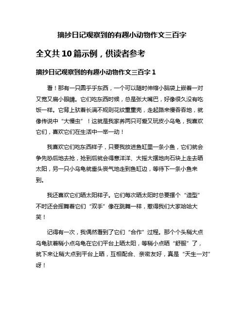 摘抄日记观察到的有趣小动物作文三百字