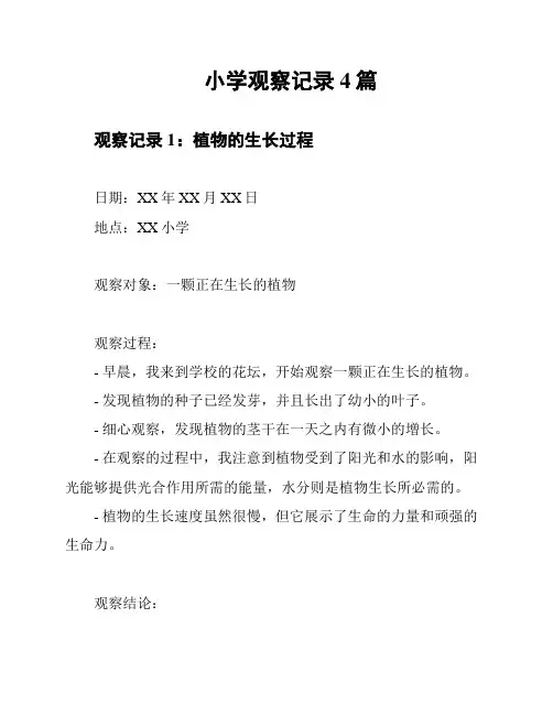 小学观察记录4篇