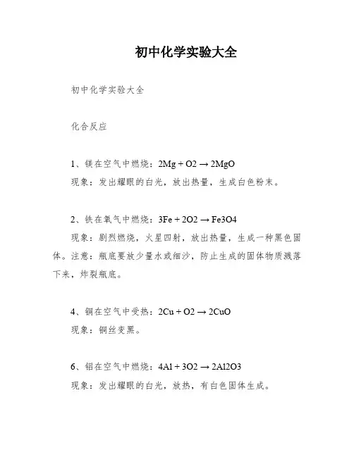 初中化学实验大全