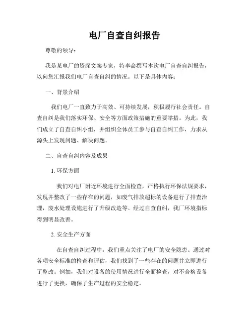 电厂自查自纠报告
