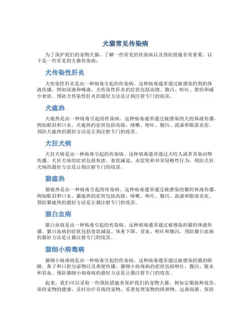 犬猫常见传染病