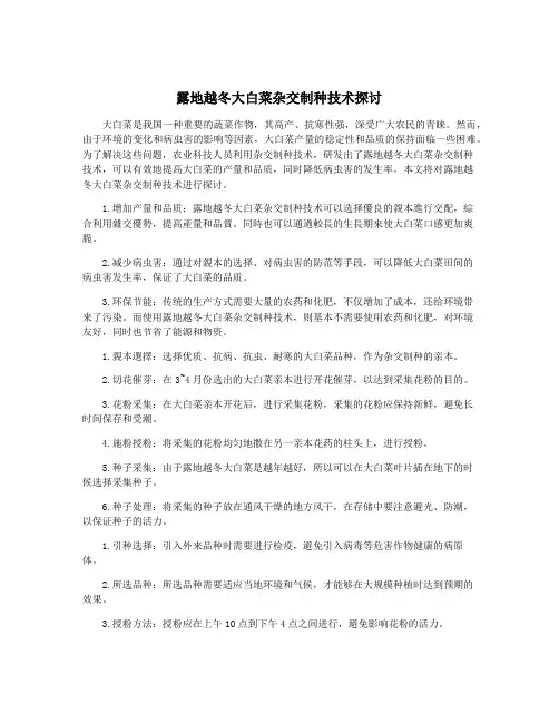 露地越冬大白菜杂交制种技术探讨