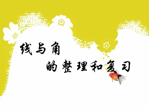 线与角的整理和复习
