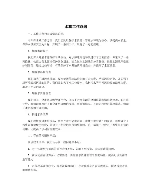 水政工作总结