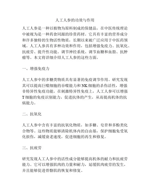 人工人参的功效与作用